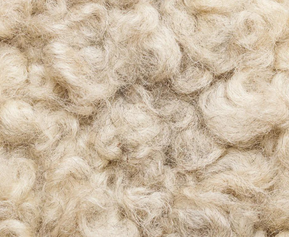 IVY Organics Wool Side Sleeper Floor Sample Pillow with Organic Jersey Cotton Case $215 - Sale Price $86