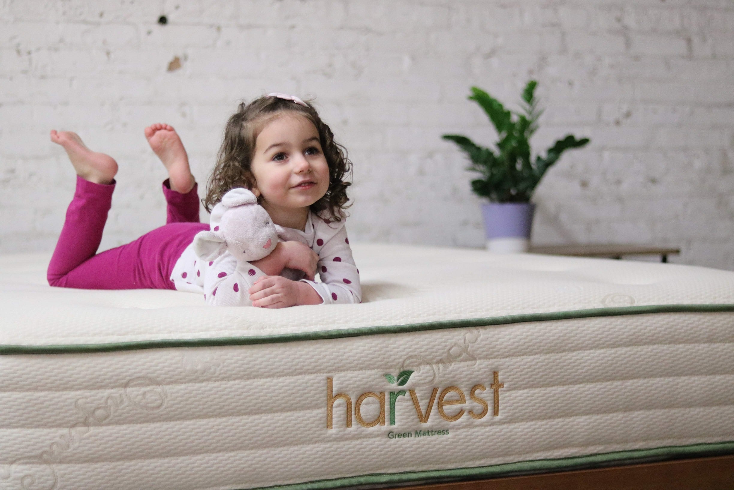 Harvest Green Original Twin XL FLOOR SAMPLE Mattress Only Regular Price $1329 - Sale Price $664.50  SOLD!!