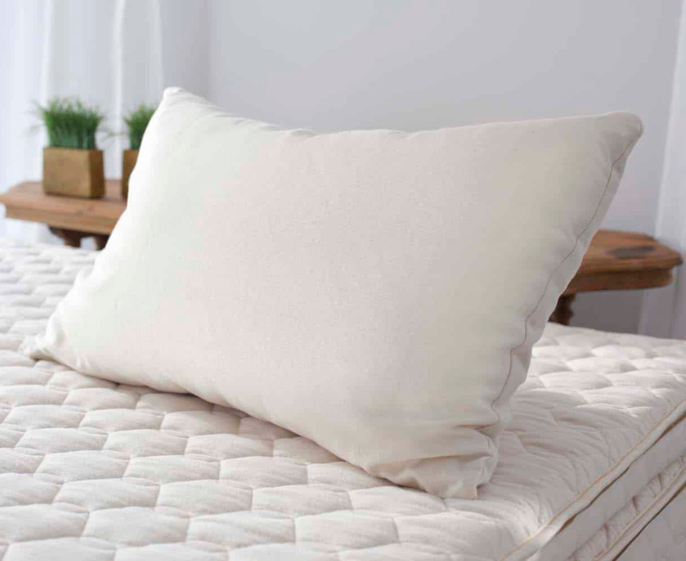 Savvy Rest Organic Kapok Pillow