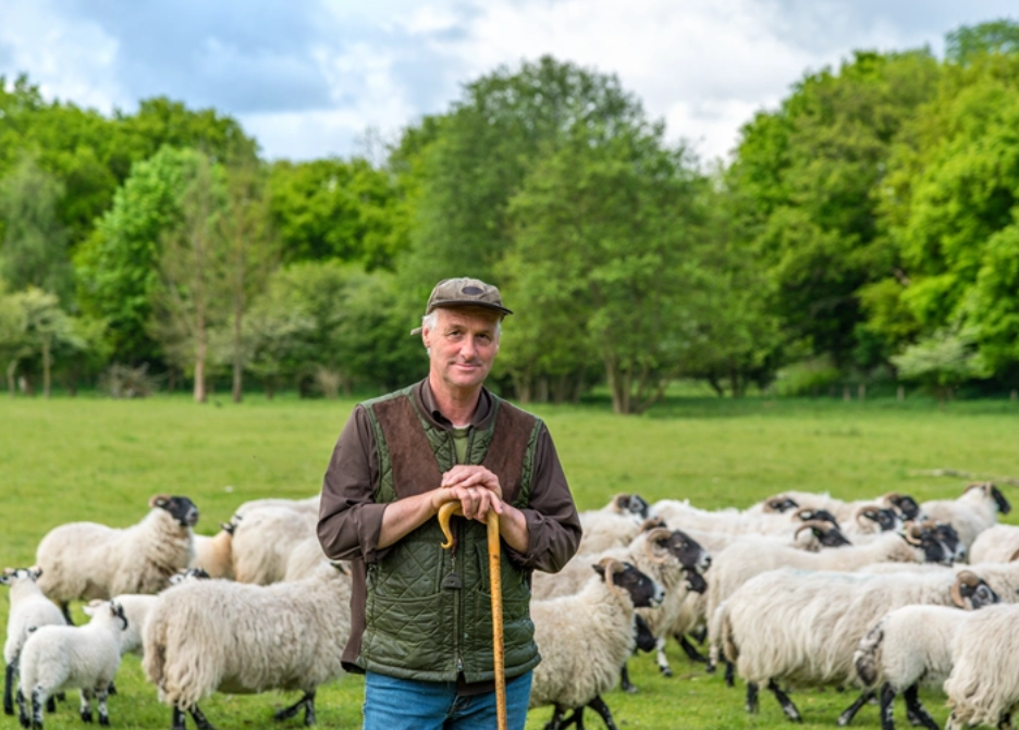 Paramount Mattress - The Joma Wool Kiwi Collection - Piha Luxury Firm