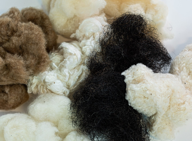 Paramount Mattress - The Joma Wool Kiwi Collection - Piha Luxury Firm