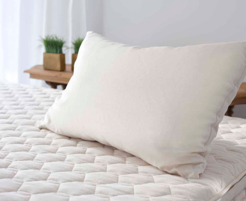Savvy Rest Shredded Latex Pillow