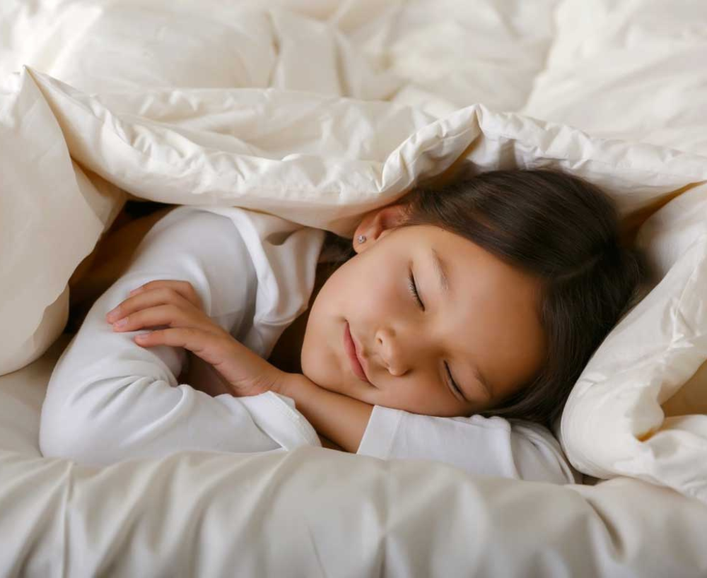 Sleep & Beyond Organic Merino Wool Comforter