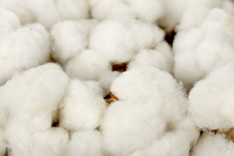 Nature's Spa - Plush