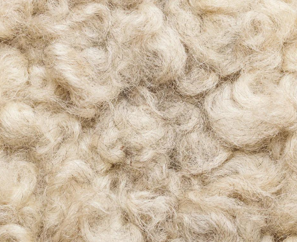 IVY Organics Wool Queen Floor Sample Pillow - Reg. Price $169.99 - Sale Price $68