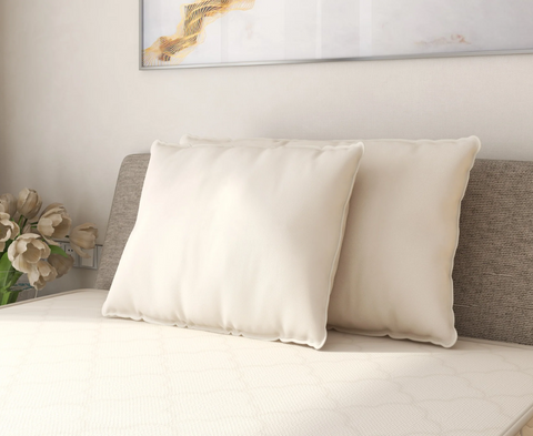 OMI 100% Certified Organic Cotton Pillow