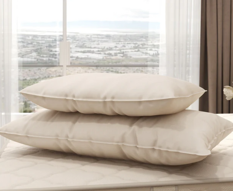 OMI GOTS-Certified 100% Organic Wool Pillow