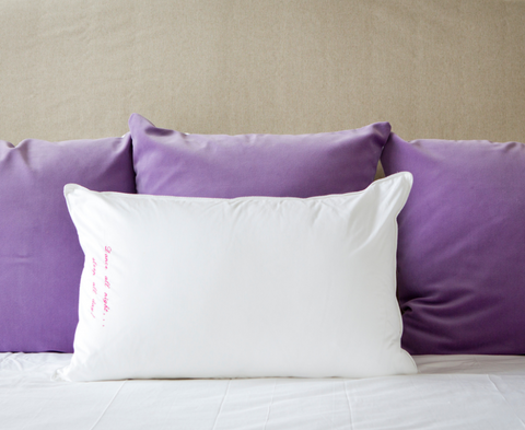 The Pillow Bar European Down Pillow