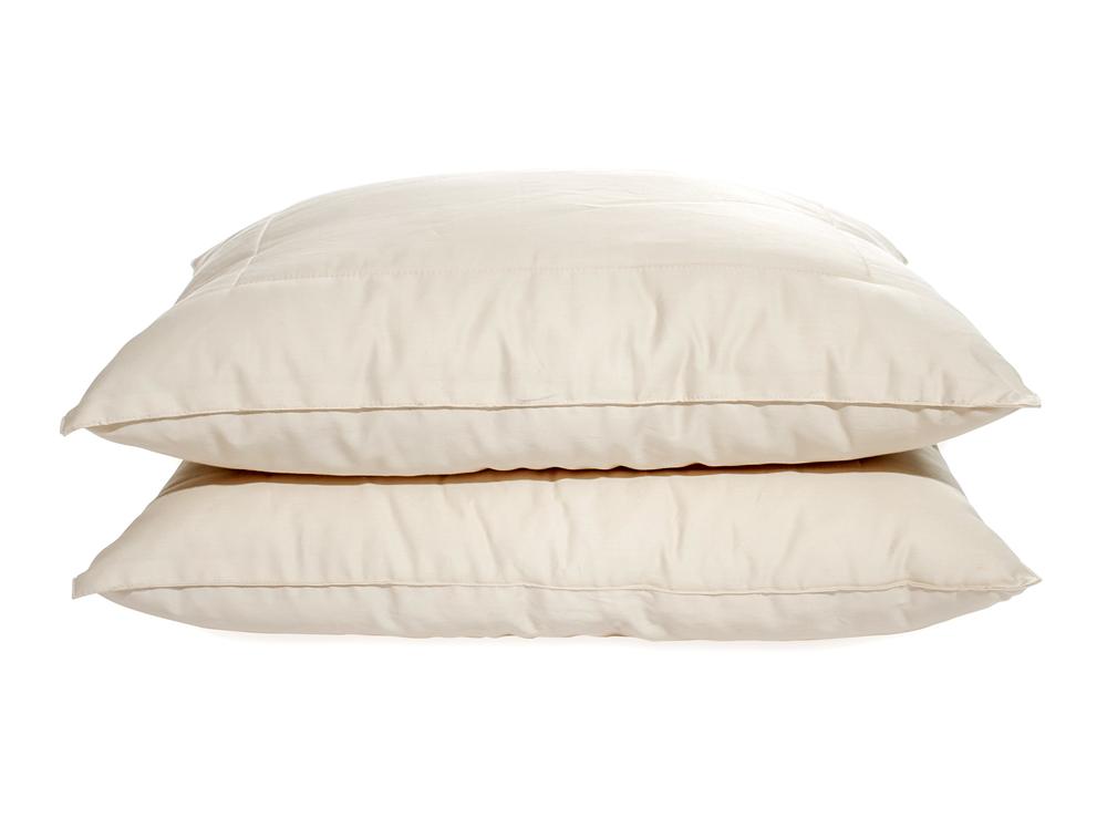 OMI 100% Certified Organic Spiraled-Wool™ Pillow